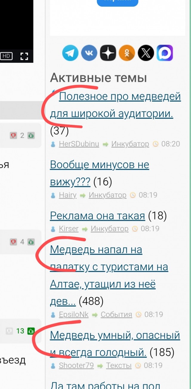 В районе на Алтае, где медведь убил туристку, ликвидировали 12 медведей