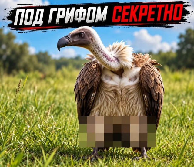 Нуштош. Поиск сатанической пыльцы (s6e2)