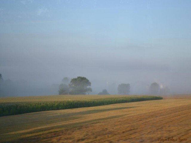 В поисках музея ПрофессораПлейшнера