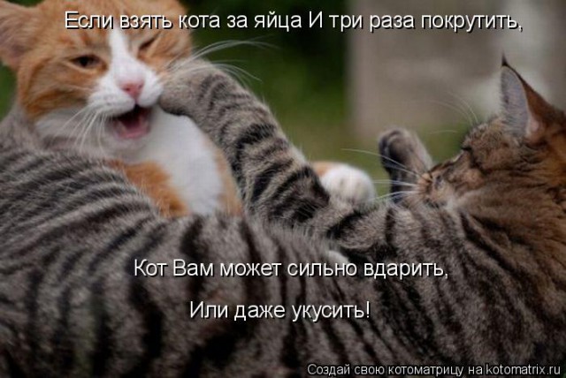 Ты на кого замахнулась...