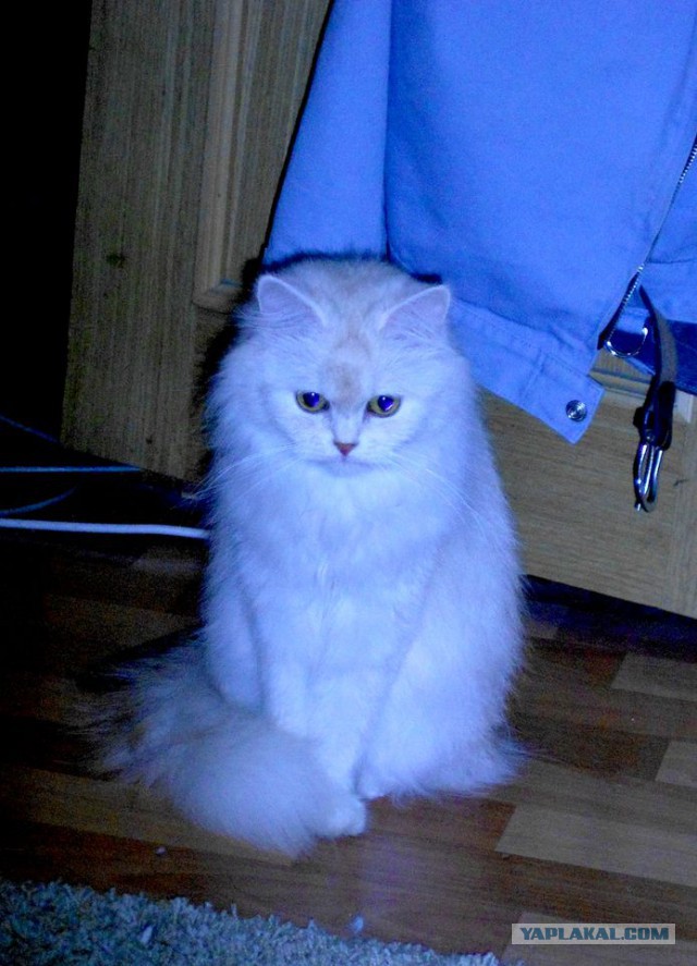 Мэнсон