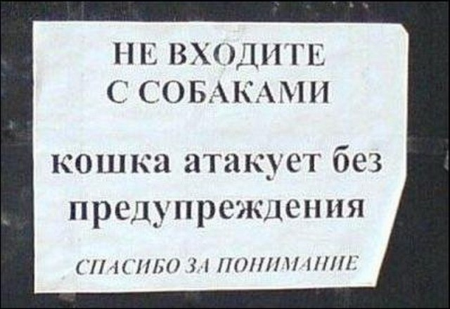 Весёлые картинки. Разбавим будни