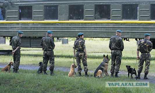 Не пускать на работу в РФ Укро-вахтеров.