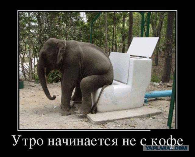 Традиционная пятничная подборка ВК и не только