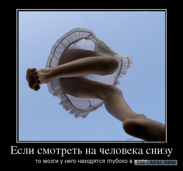 Порция демотиваторов