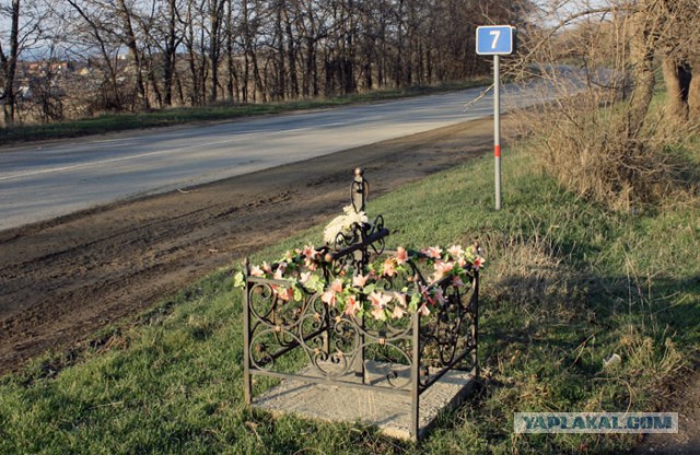 Дама тошнит в левом, но тут находится учитель....