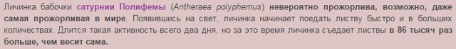 Волна террора: 2 убитых, 24 раненых за час