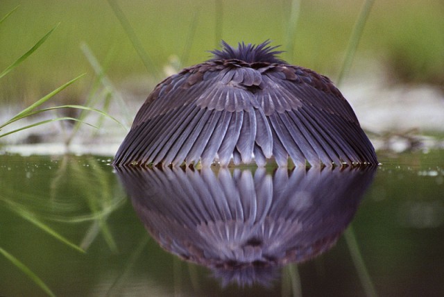 80 поразительных фотографий,