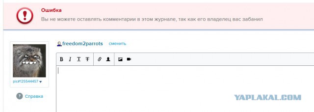 Top_lap обиделся на Яп