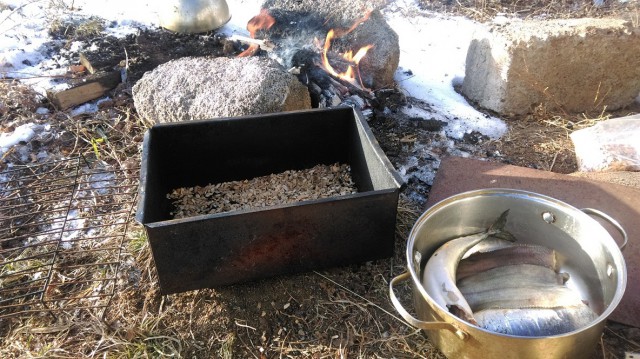 Копчение рыбы своими силами(горячее копчение)