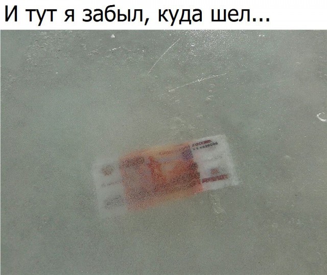 Картинки из ваших интернетов