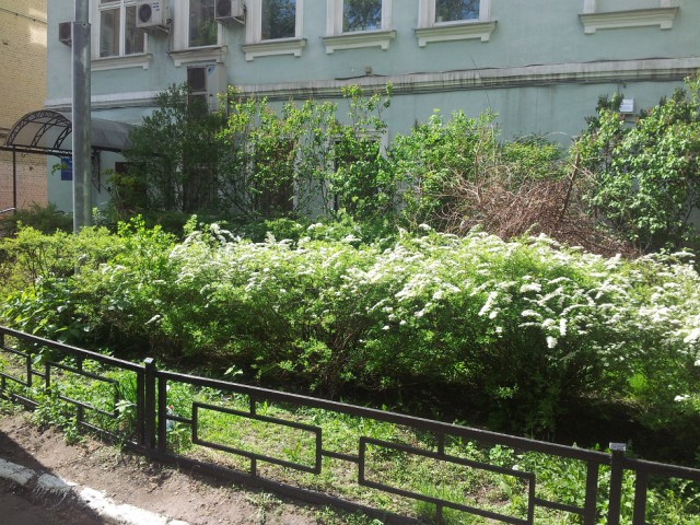 Фотопутешествие по летней Москве