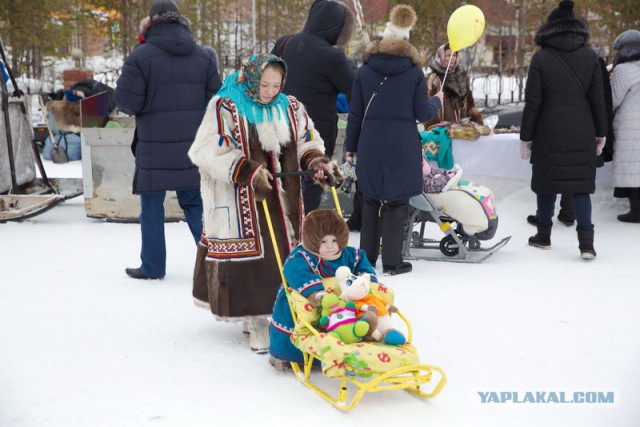 Новый Уренгой-Надым, покатушки  в выходные на День Оленевода