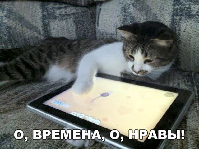 Нестандартный юмор