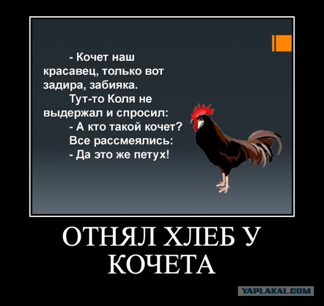 Вот еще немного слегка пошлых картинок с надписями и без 16+ (11.08)