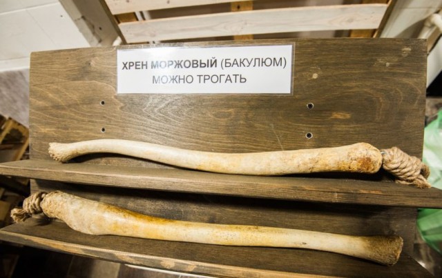 Огонёк, Хреновуха, Хренодёр, Кобра, Горлодёр и.т.п.