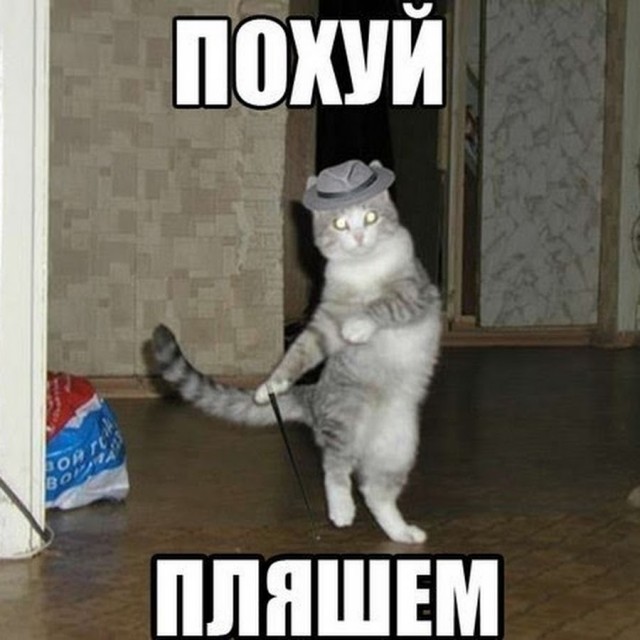 ⚡️Социальная сеть ТикТок заявила о приостановлении работы в России после принятия закона об ответственности за фейки