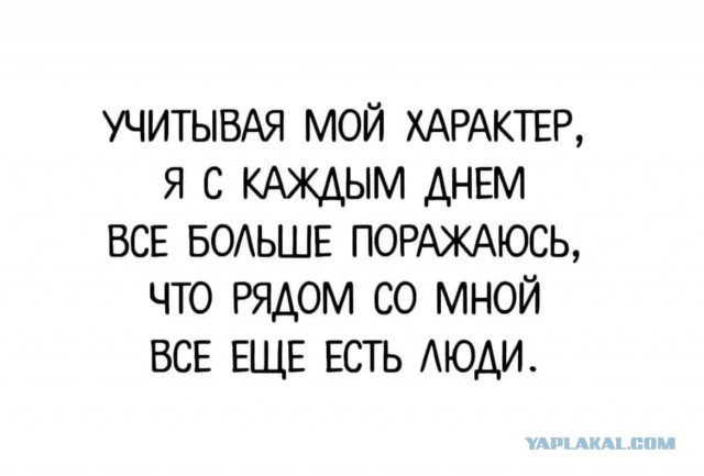 50 оттенков серого Vol.5 . Или самосвал баянов