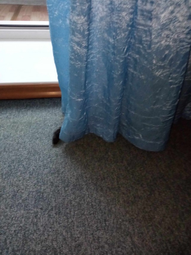 Начну котовторник чуть раньше!