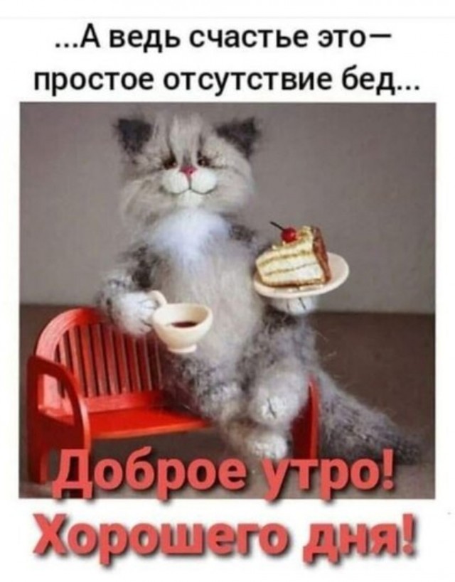 «Мне 29, а я ни разу не целовался». Девственник о своей жизни