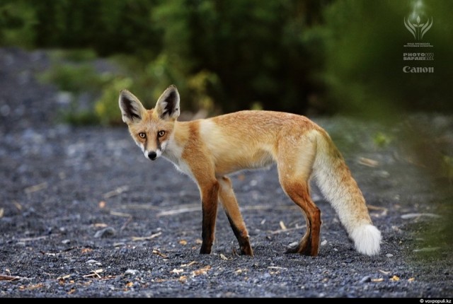 Неизвестный Казахстан