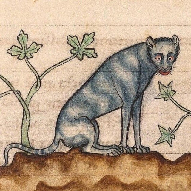 Почему в Средневековье кошек изображали такими страшными