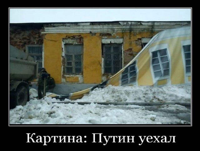 Баннеры, отлов собак и пропавший губернатор. Волгоград готовится к приезду президента