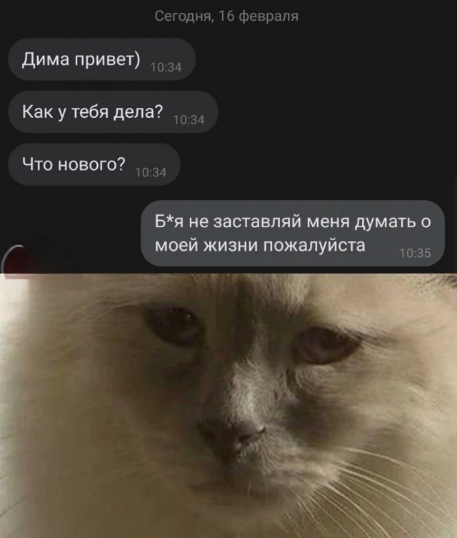 Нуштош 18.02.2023