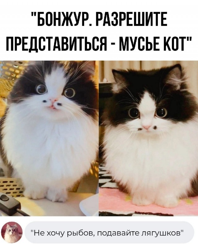 Картинки и мемы, всем хороших выходных