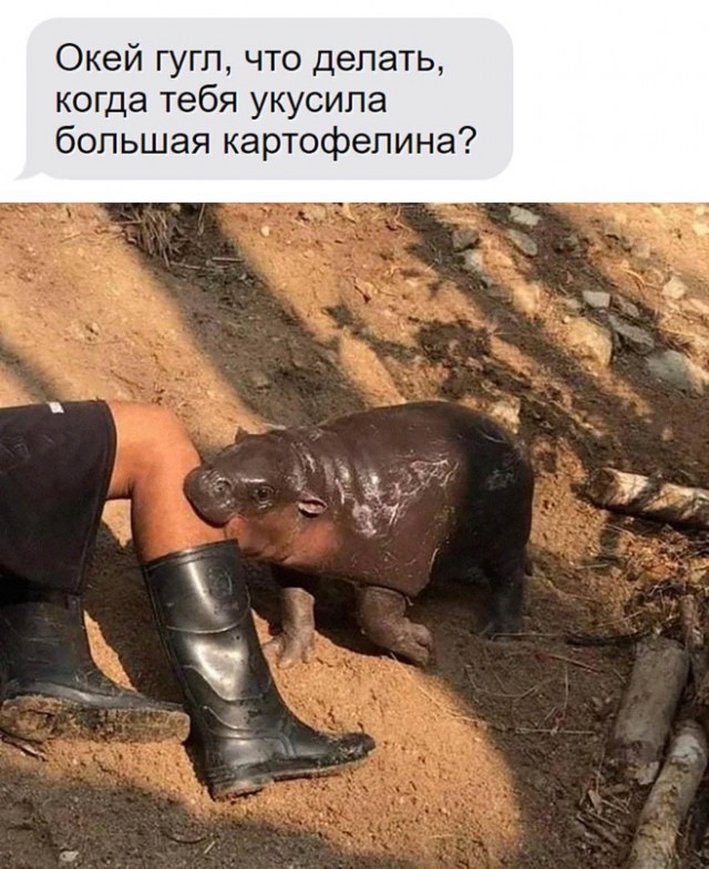 Немного картинок для настроения - 155