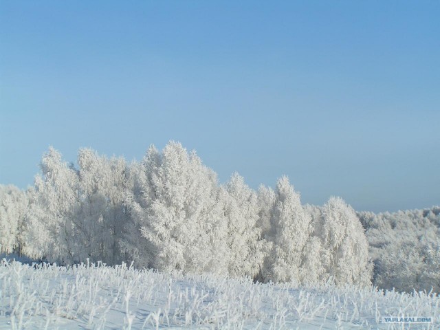 Русская зима (10 фот)