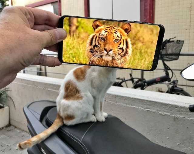 Фотограф остроумно объединяет фото на телефоне и то, что видит вокруг, получая забавные результаты