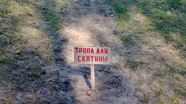 Так себе картинки 28.10.23