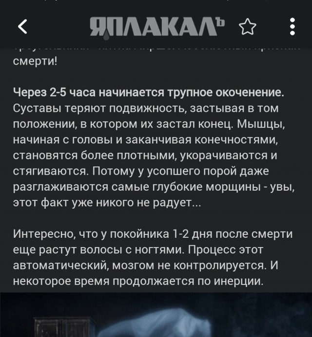 Что происходит с телом человеком через сто лет в гробу?