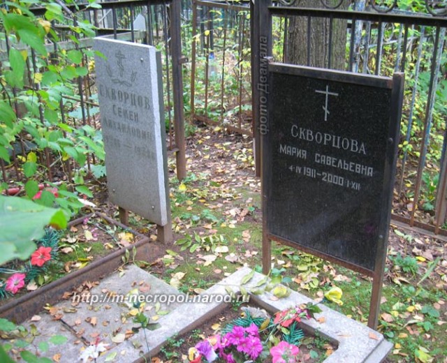 Мария скворцова биография и личная жизнь