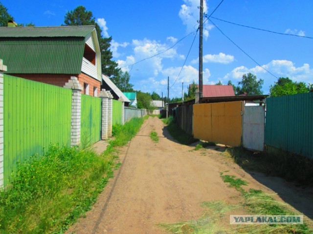 Не скем оставить ребенка. Нескем оставить ребенка. Как правильно пишется нескем или ни с кем. Слитное и раздельное написание не с именами прилагательными. Выбор мем.