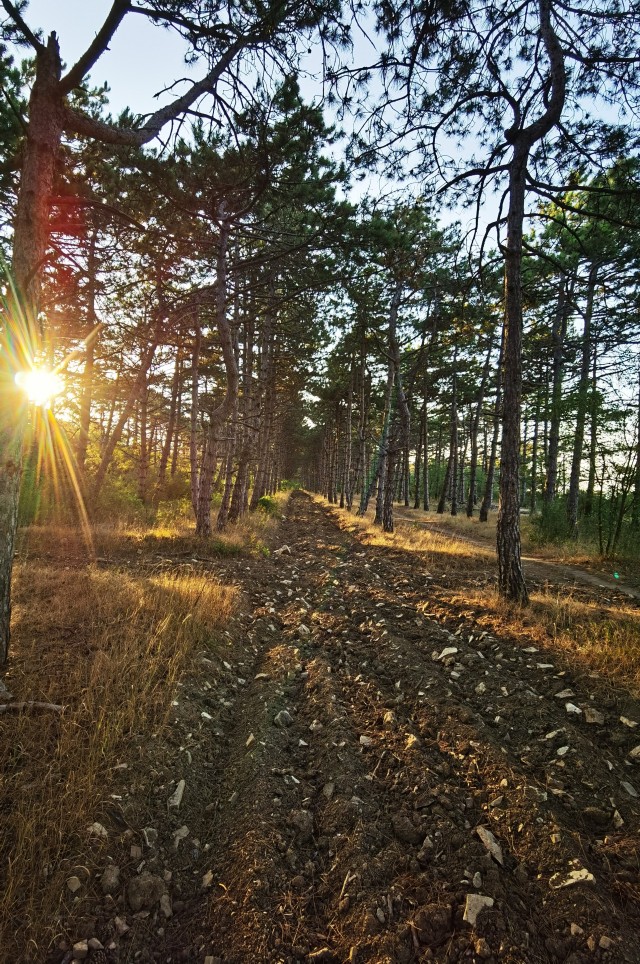 Крым. Август 2024.