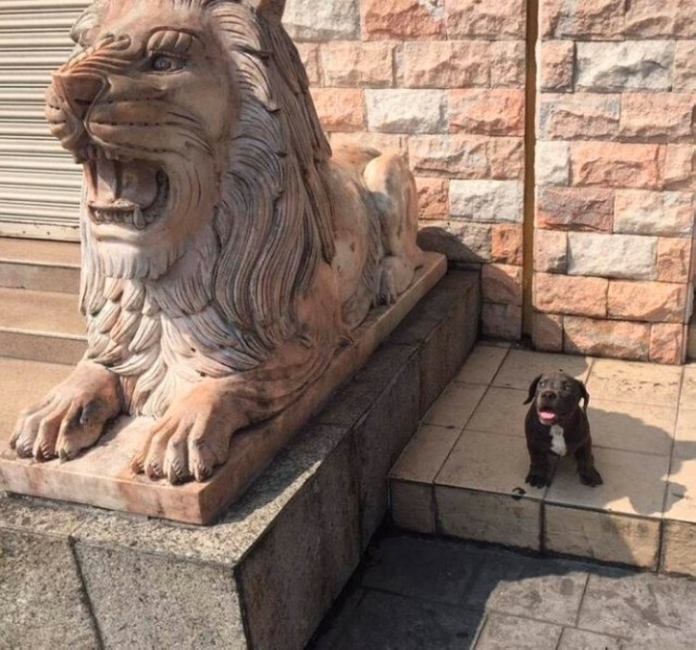 Картинки разные с надписями и без