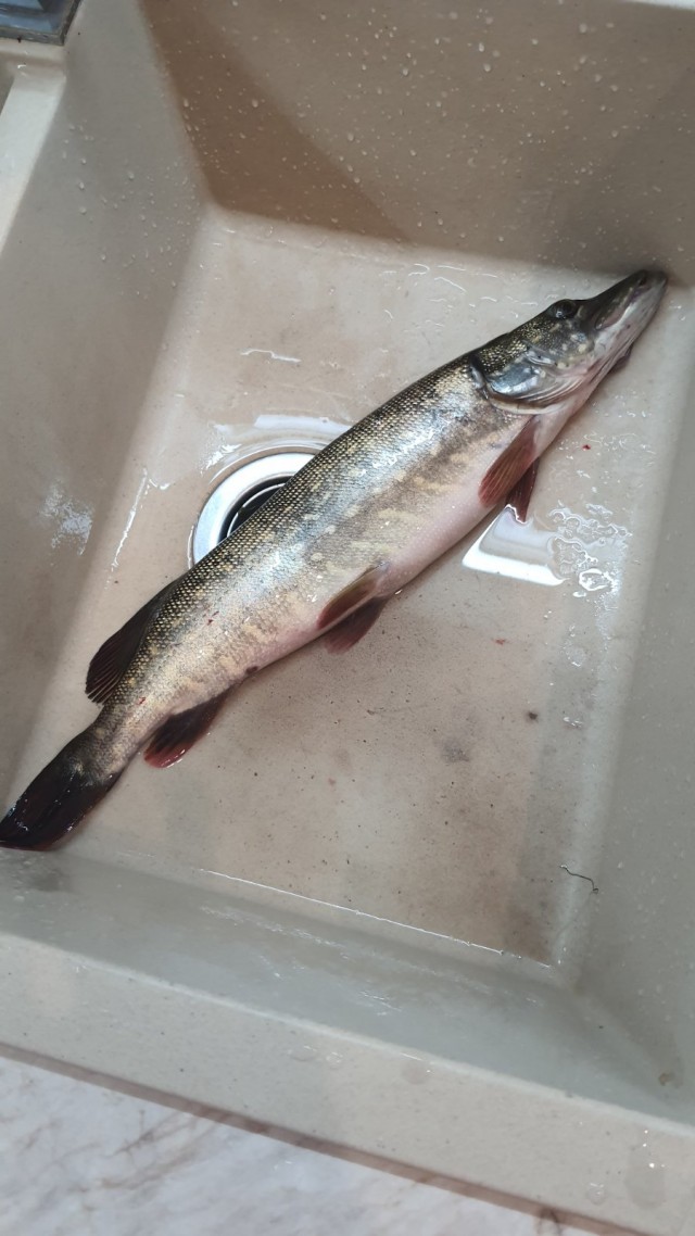 Погода подвела, а может и не погода