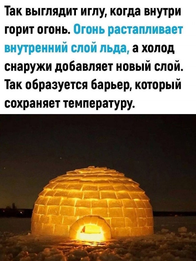 Так себе картинки 28.07.25