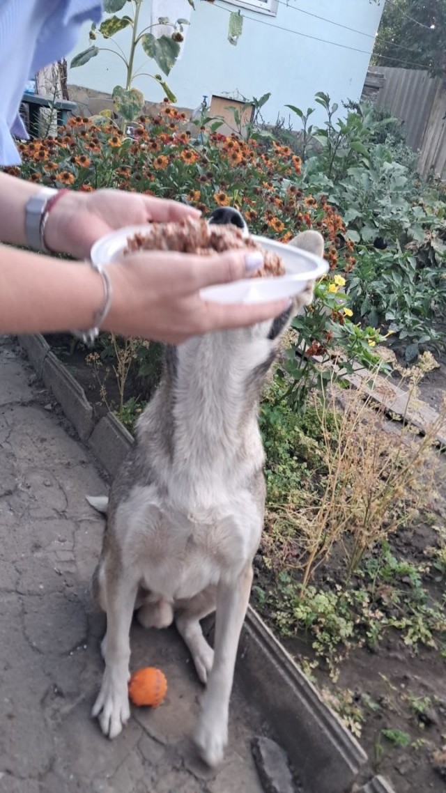 У моего друга сегодня День рождения!