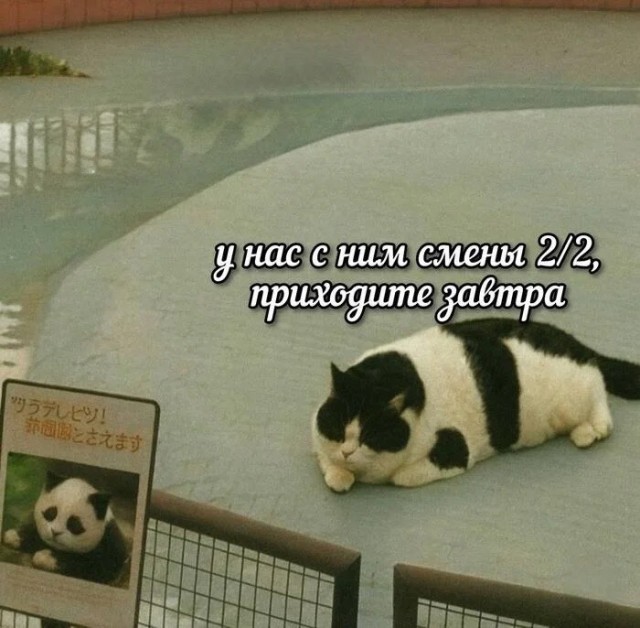 Октябрь, день десятый …