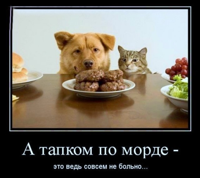 Вторника картинки