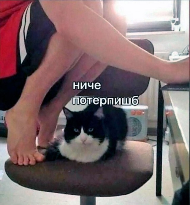20986118.jpg