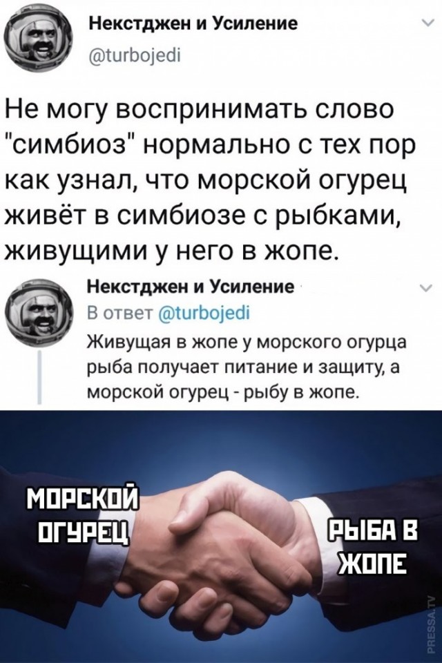 Веселые картинки в пятницу (03.07)