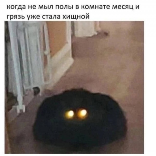 Картинки для деградации 240 (разной степени свежести)