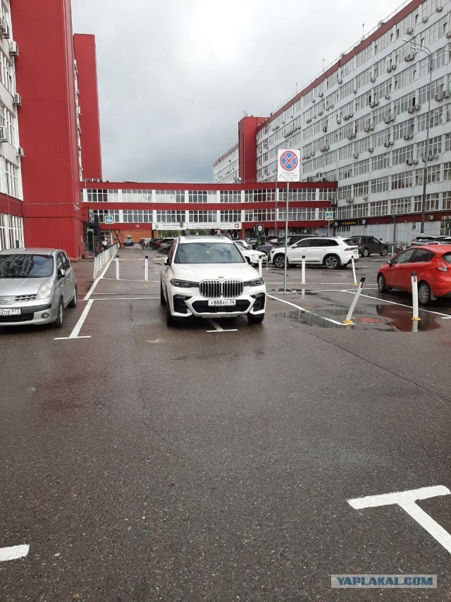 Два в одном: Долб@ебизм+BMW головного мозгв