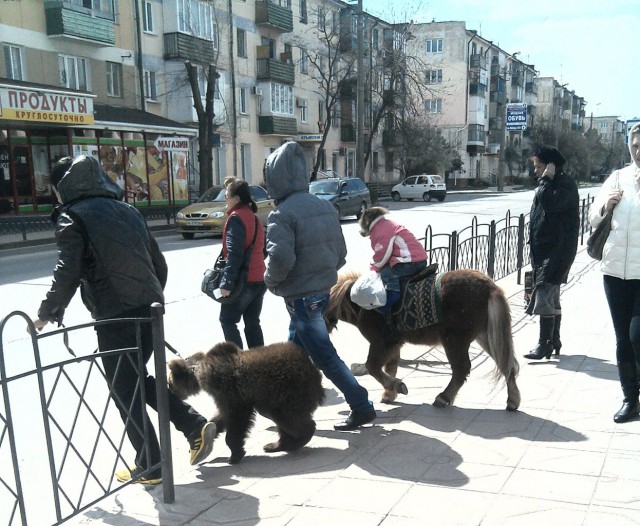 Новости Крыма 10.04.2014 года