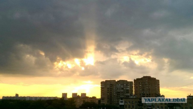 Последнее фото с Вашего телефона.