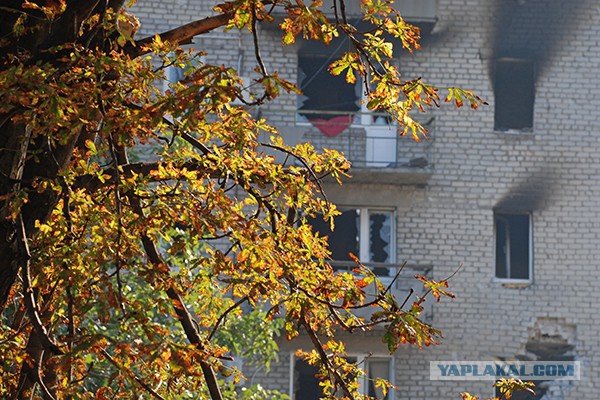 СМИ в США меняют подход к освещению событий